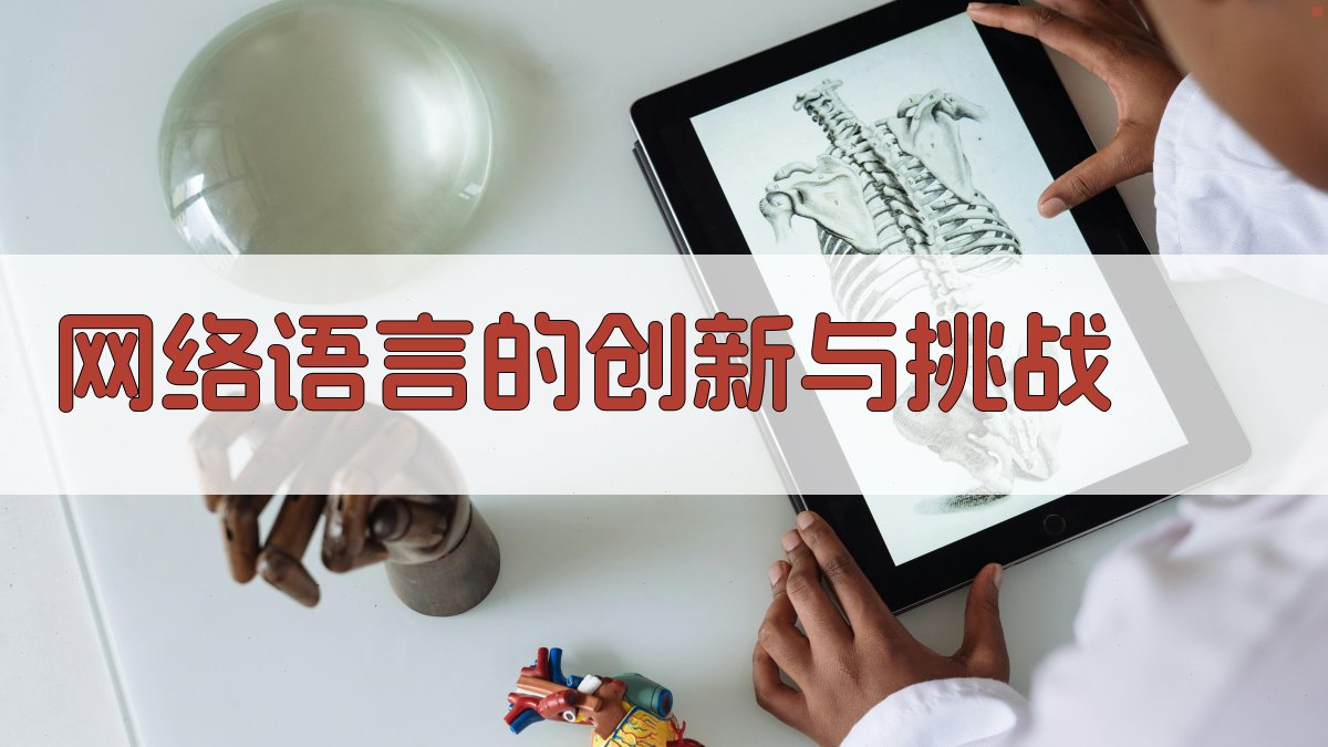 网络语言的创新与挑战 图3