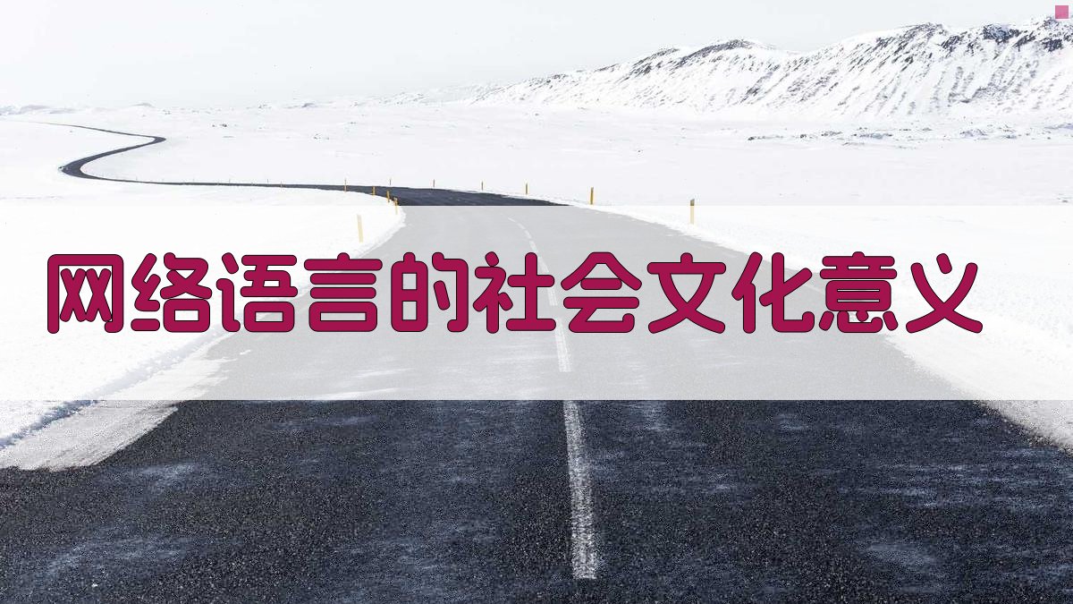 网络语言的社会文化意义 图4