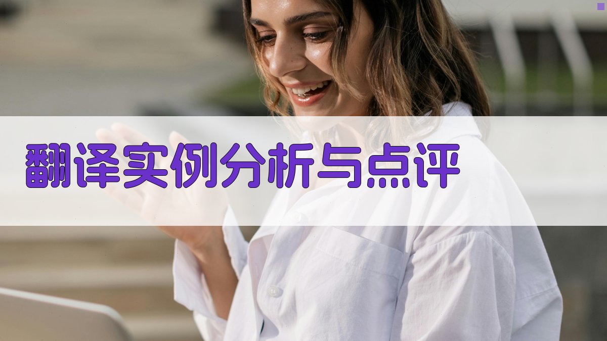 翻译实例分析与点评 图1