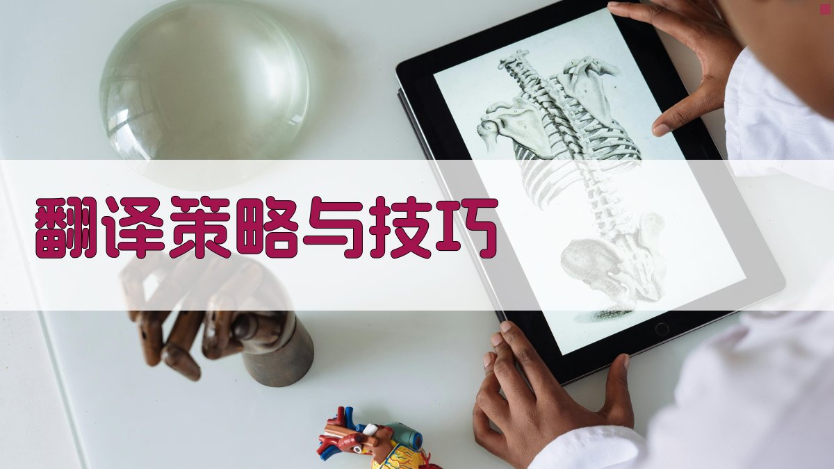 翻译策略与技巧 图3