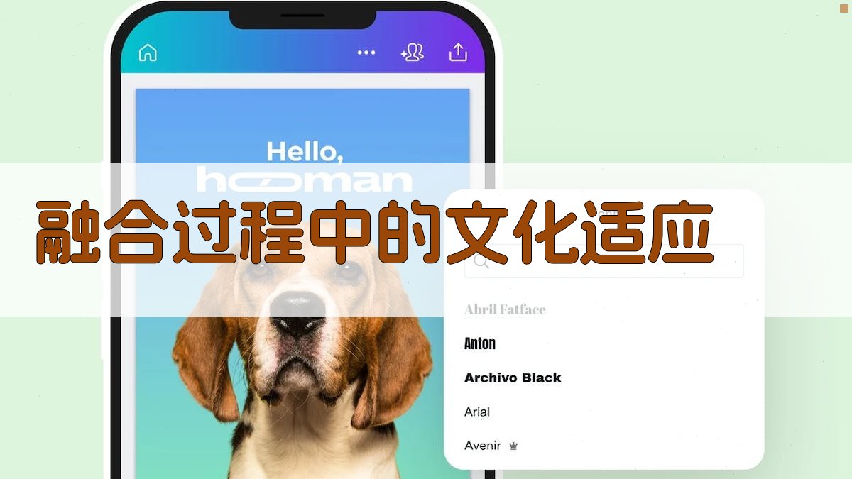 融合过程中的文化适应 图3