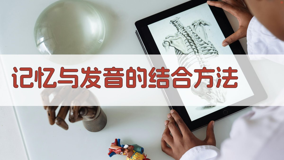 记忆与发音的结合方法 图1
