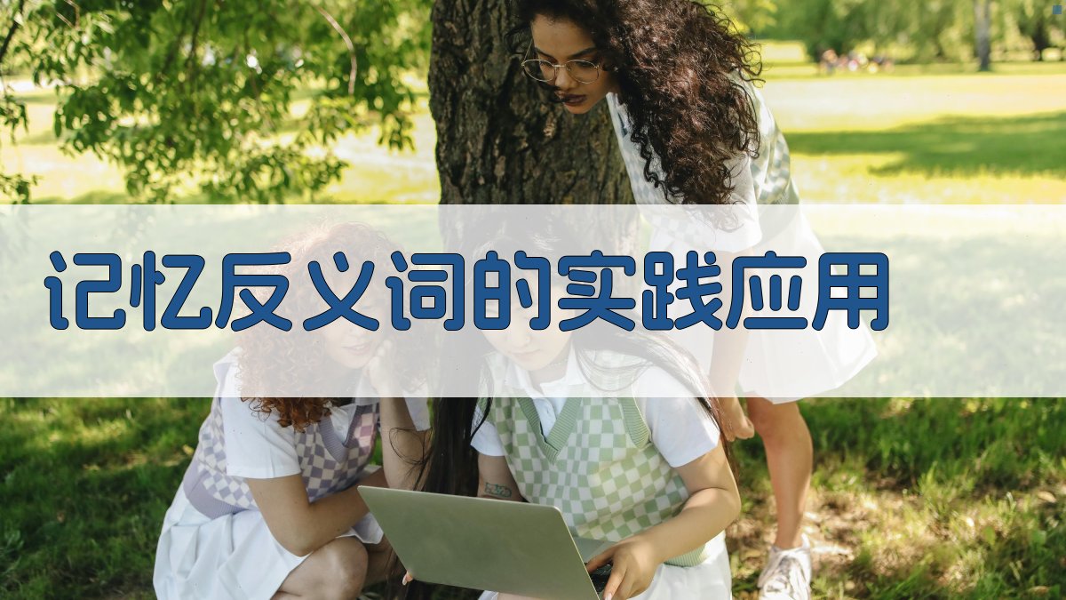 记忆反义词的实践应用 图5