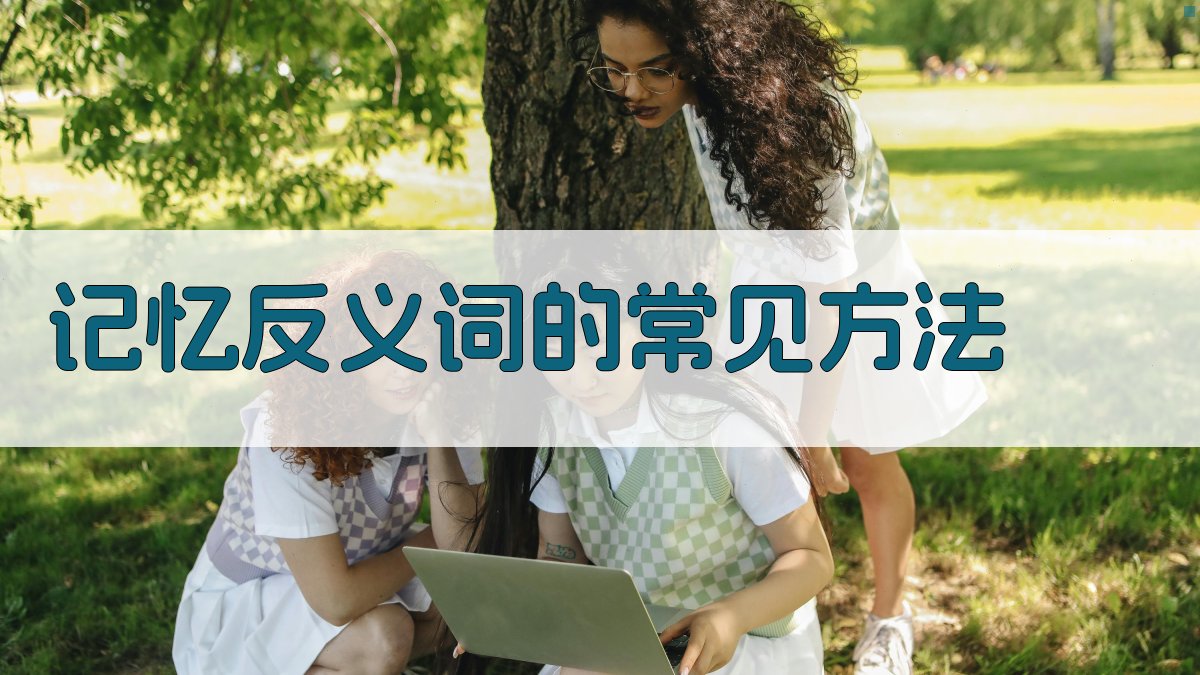 记忆反义词的常见方法 图2