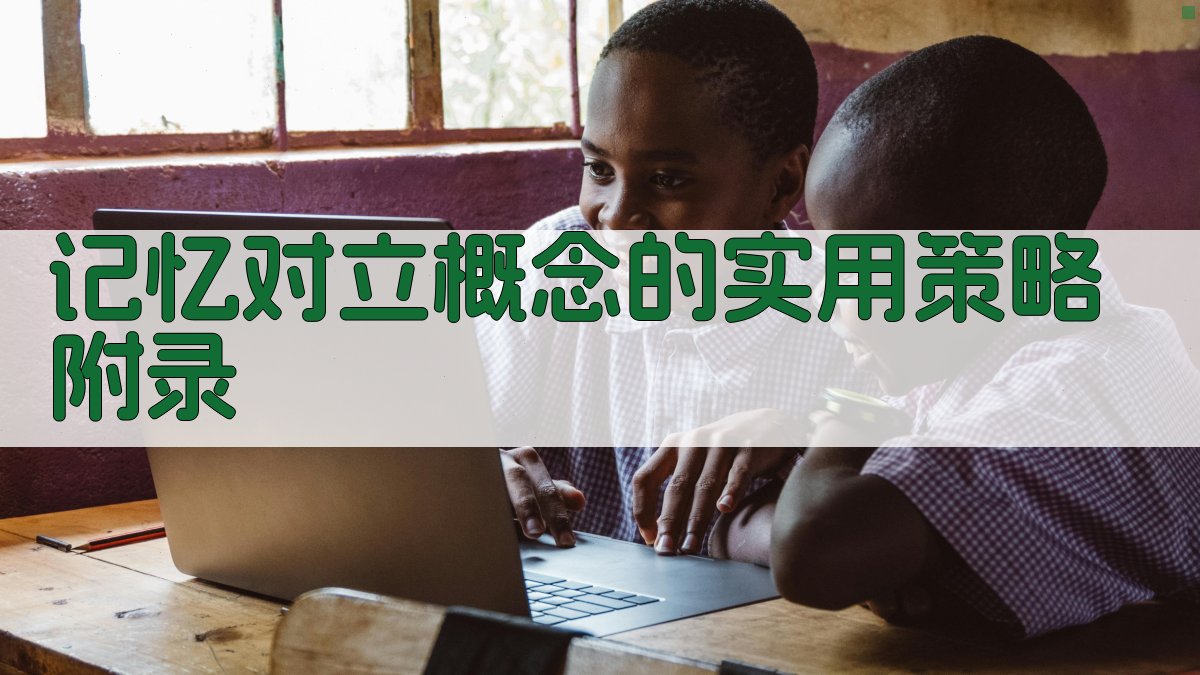 记忆对立概念的实用策略 · 附录 图4