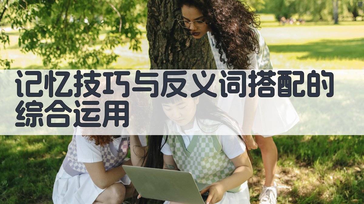 记忆技巧与反义词搭配的综合运用 图2