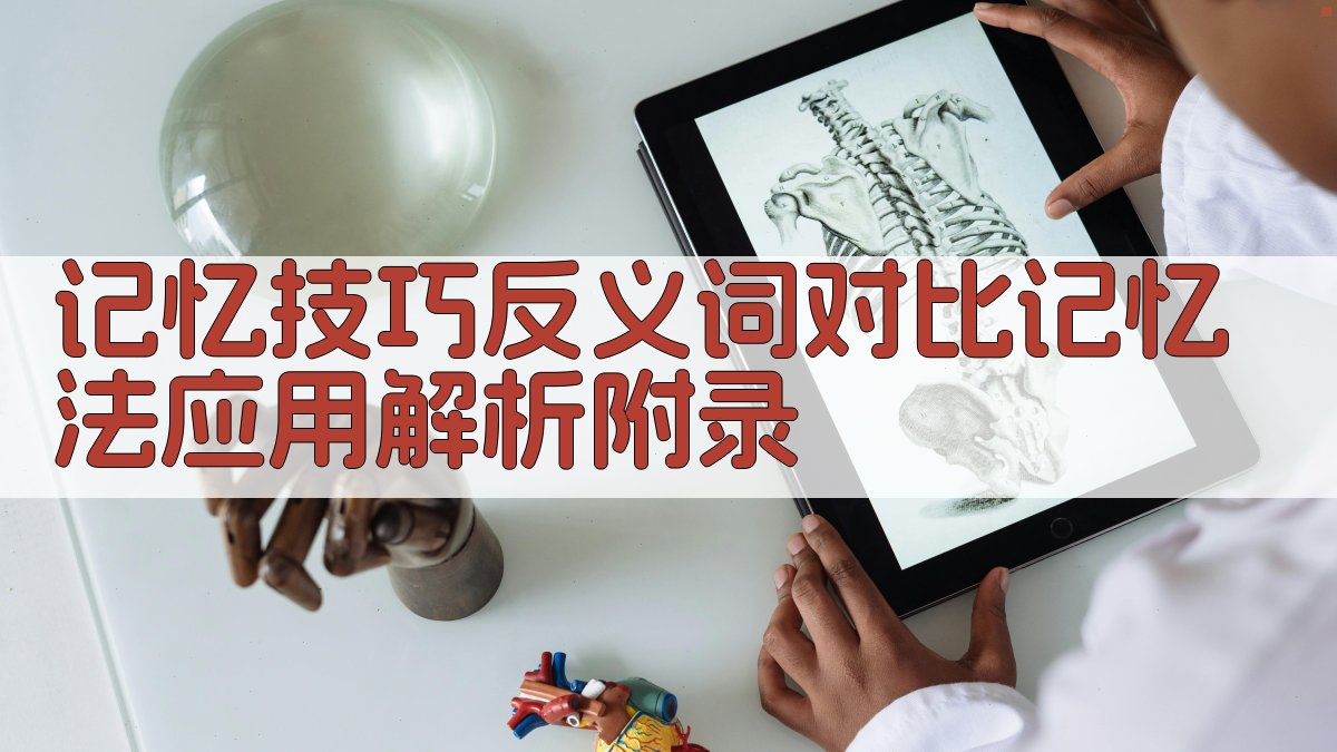 记忆技巧反义词对比记忆法应用解析 · 附录 图5