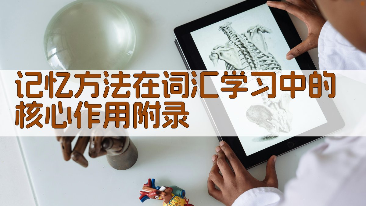记忆方法在词汇学习中的核心作用 · 附录 图4