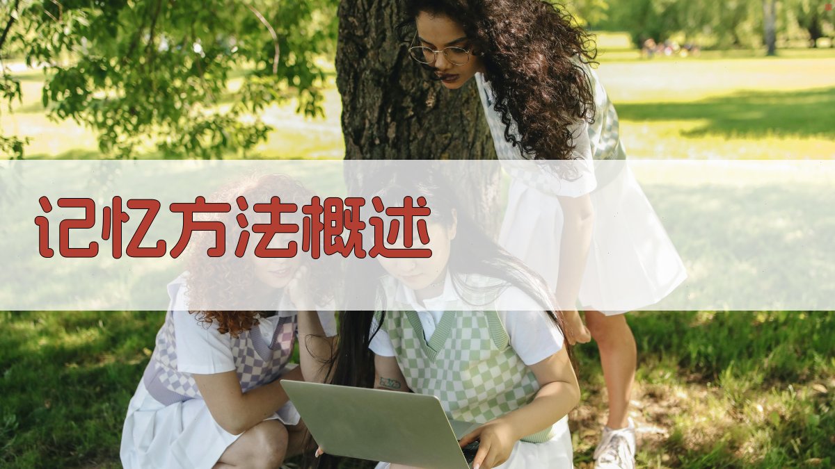 词汇记忆策略优化