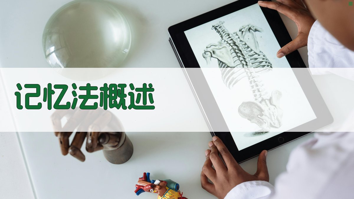 记忆法概述 图1