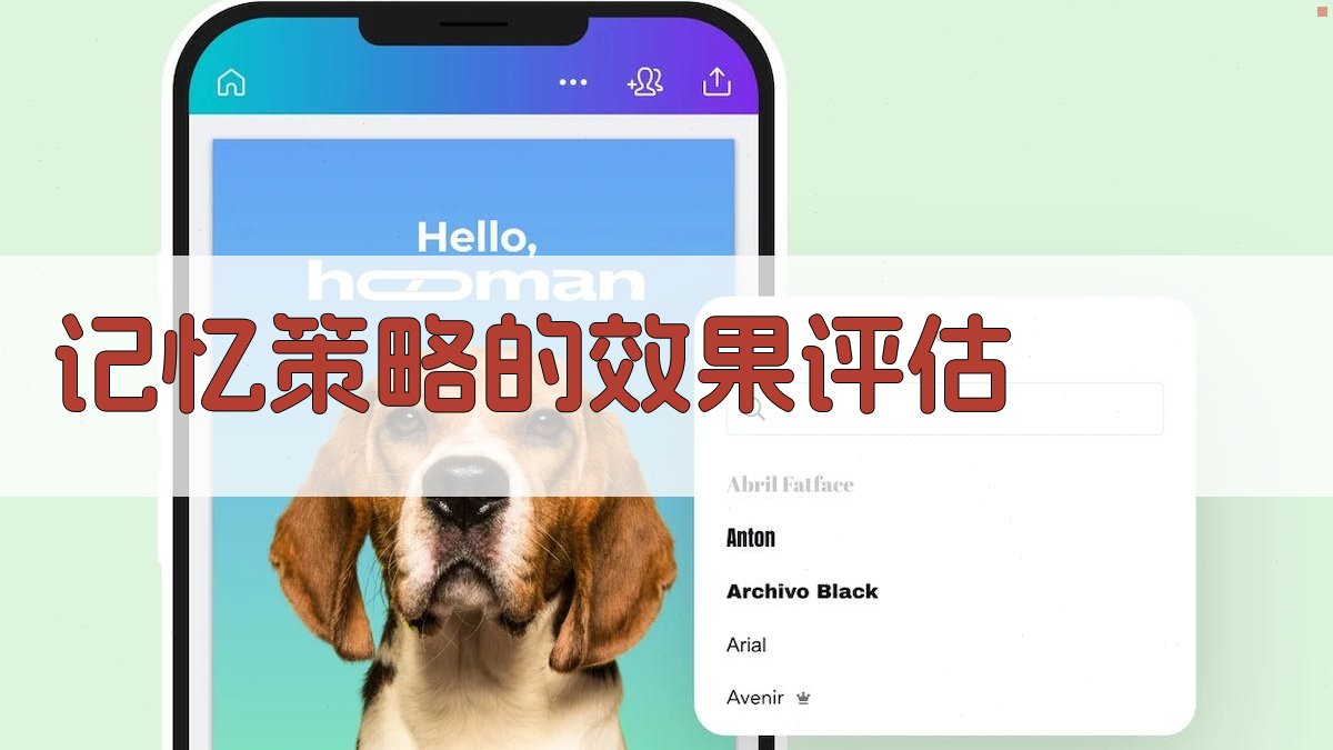 记忆策略的效果评估 图4