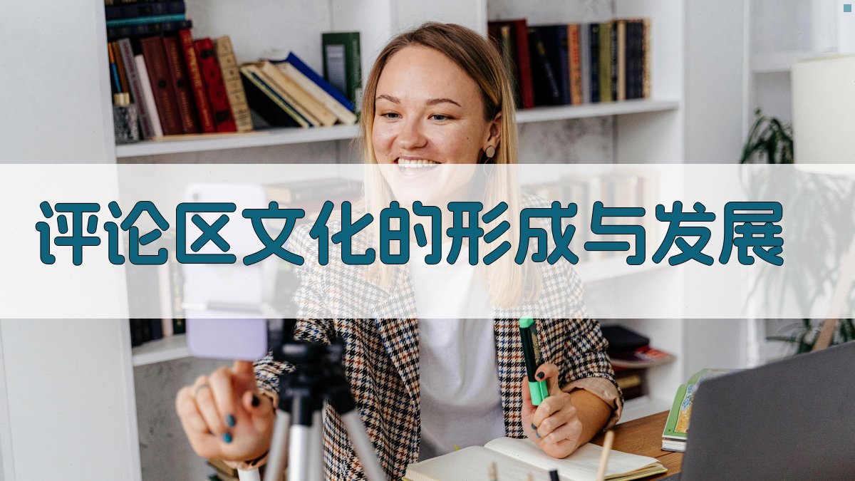 评论区文化的形成与发展 图2
