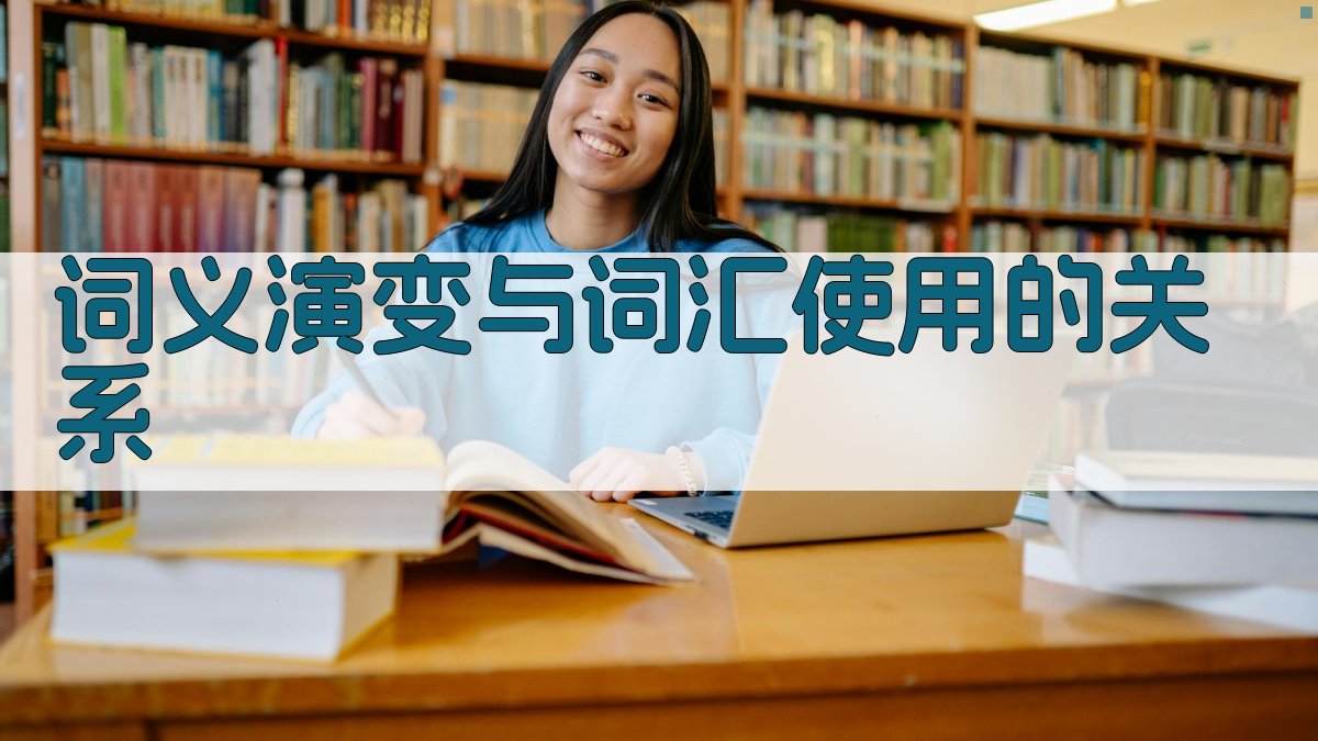 词义演变与词汇使用的关系 图2