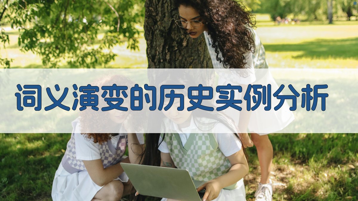 词义演变的历史实例分析 图2