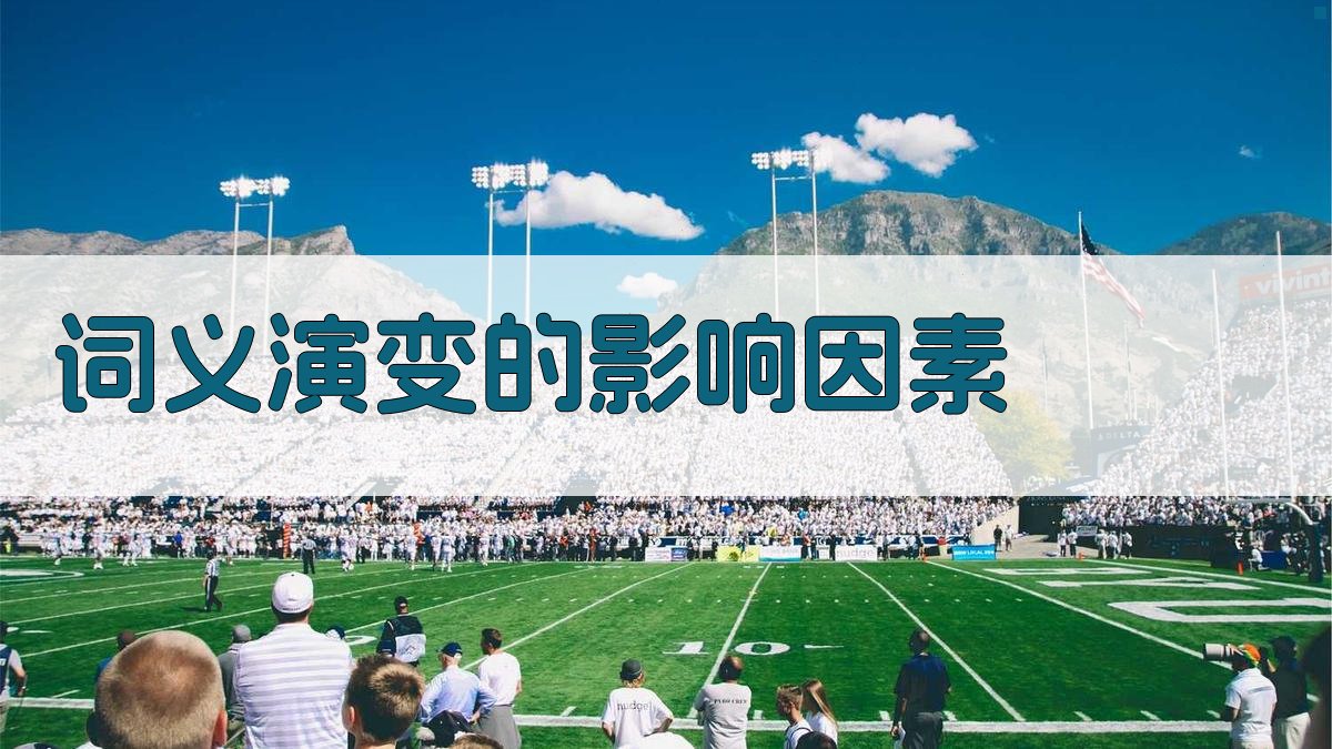 词义演变的影响因素 图3