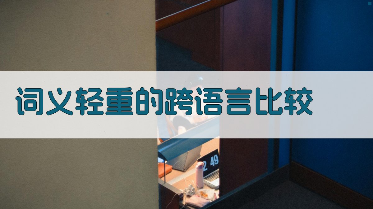 词义轻重的跨语言比较 图4