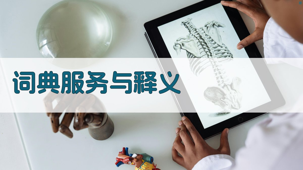 词典服务与释义 图2