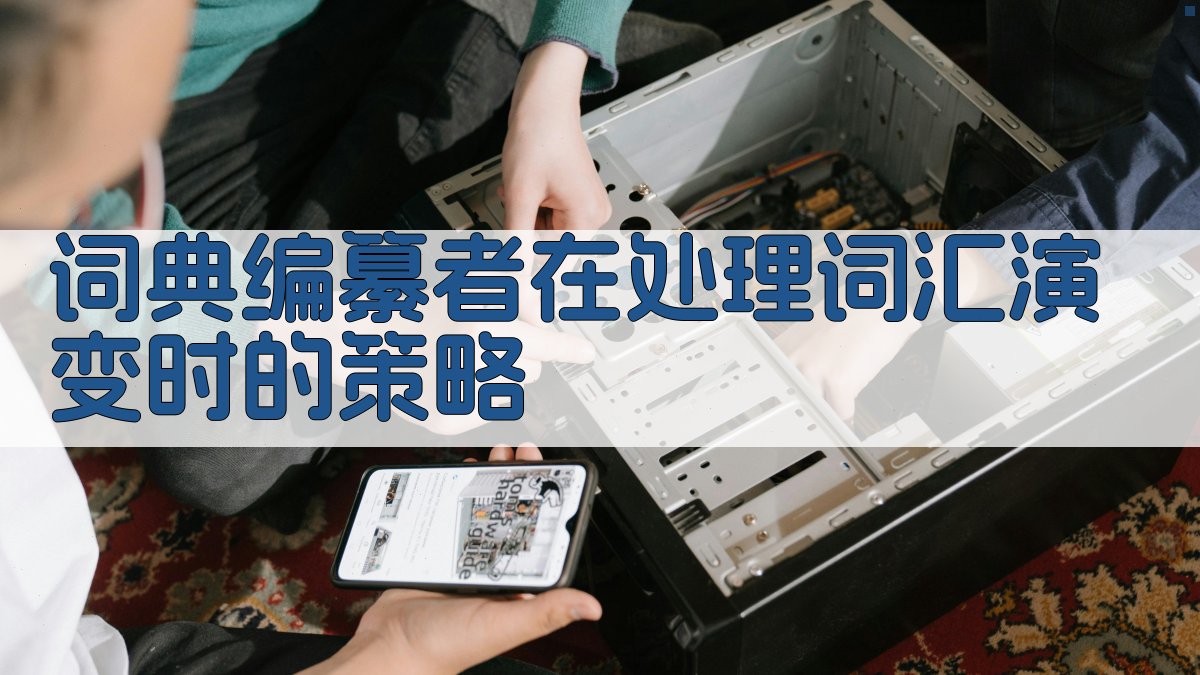 词典编纂者在处理词汇演变时的策略 图3