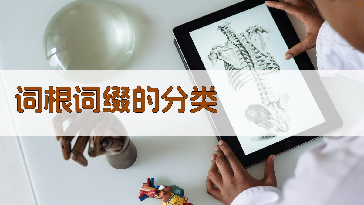 词根词缀的分类 图2