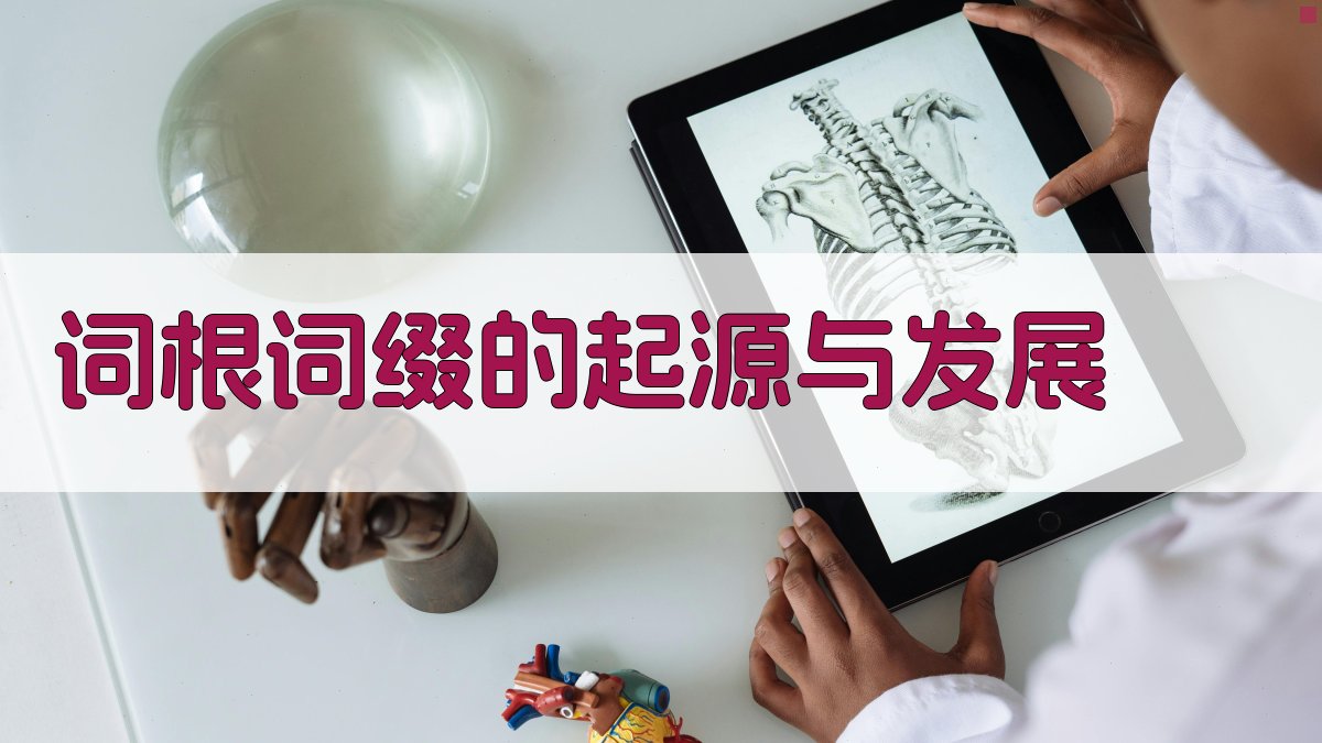 词根词缀的起源与发展 图2