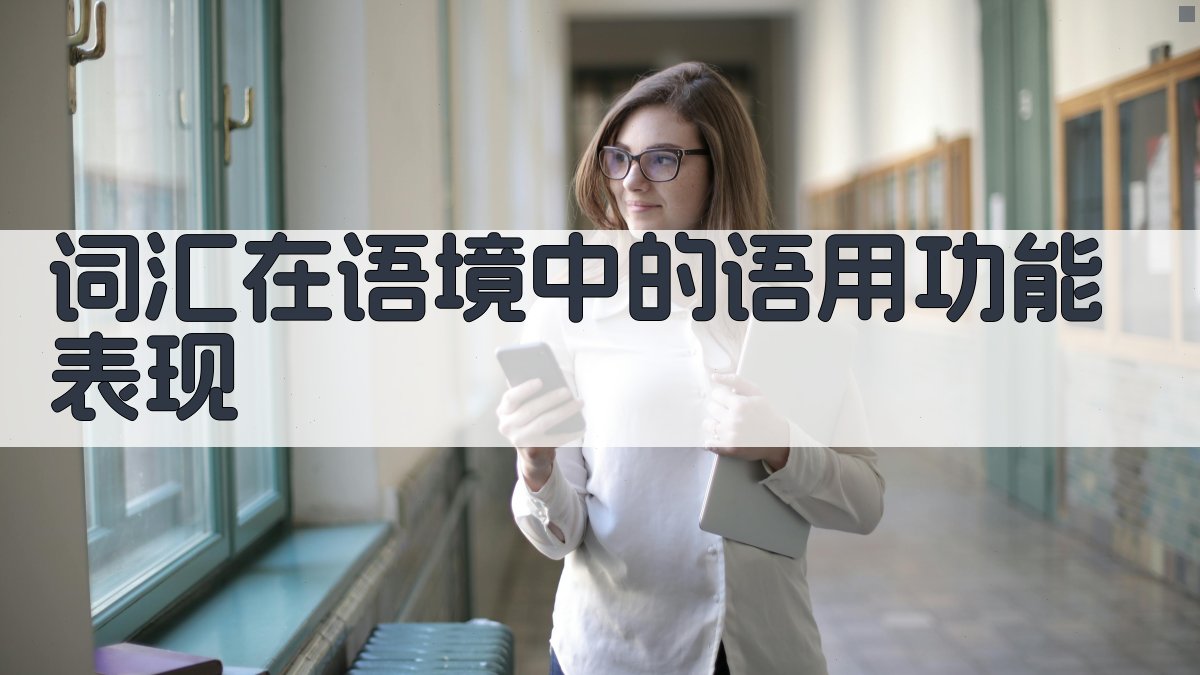 词汇在语境中的语用功能表现 图2