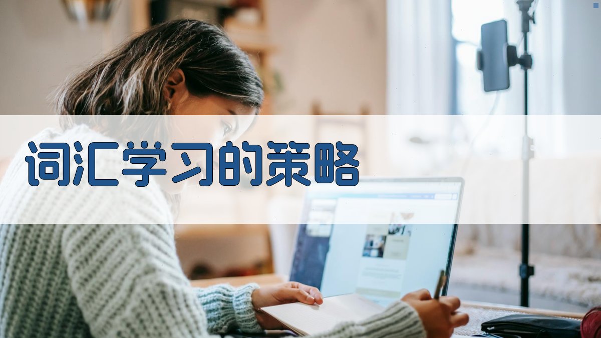 词汇学习的策略 图2