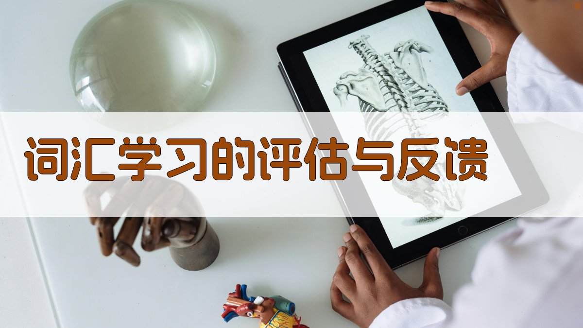 词汇学习的评估与反馈 图1