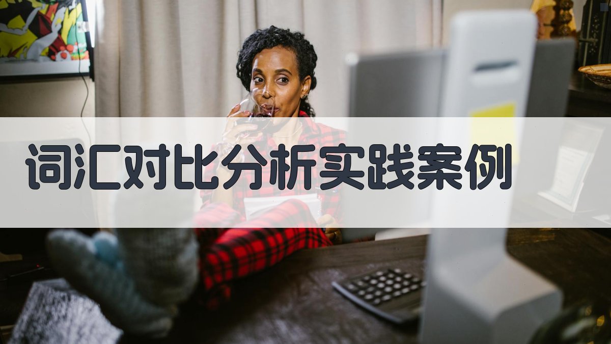 词汇对比分析实践案例 图3