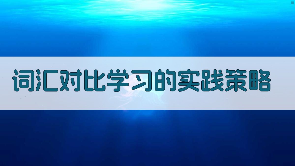 词汇对比学习的实践策略 图1