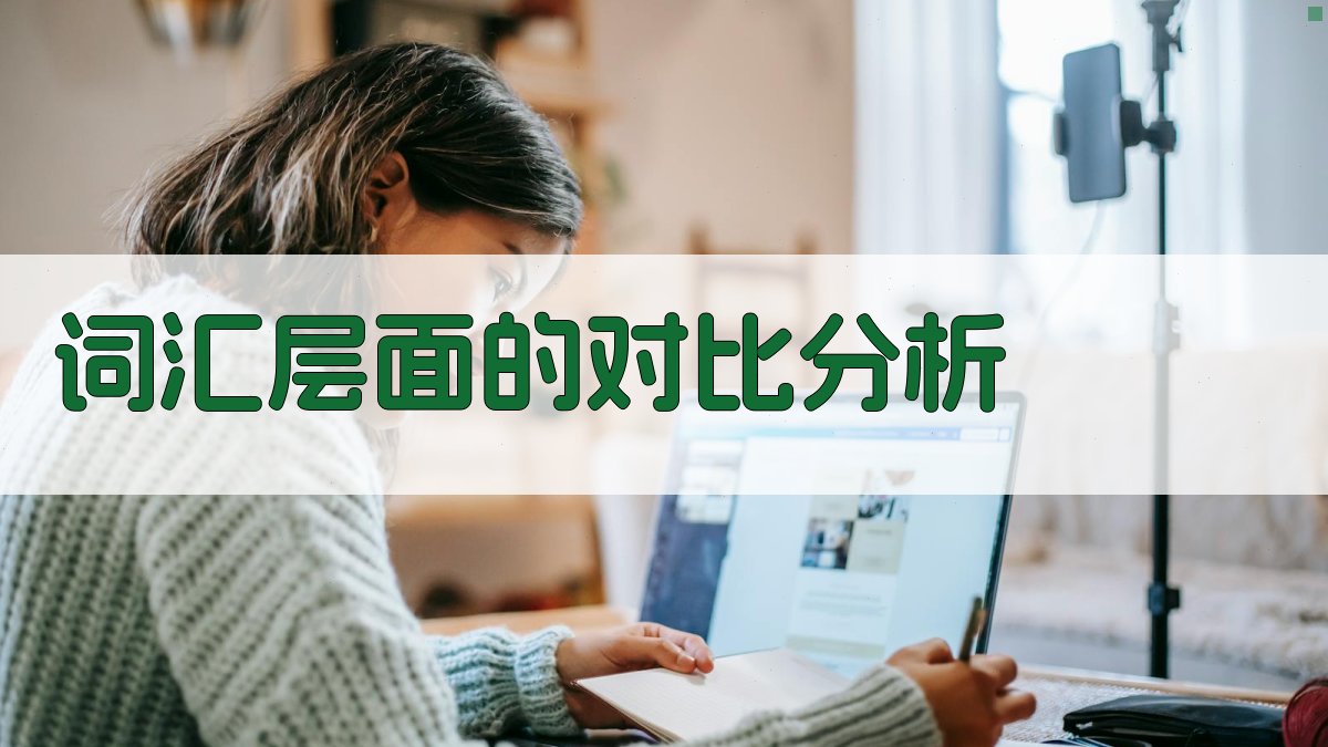 词汇层面的对比分析 图2