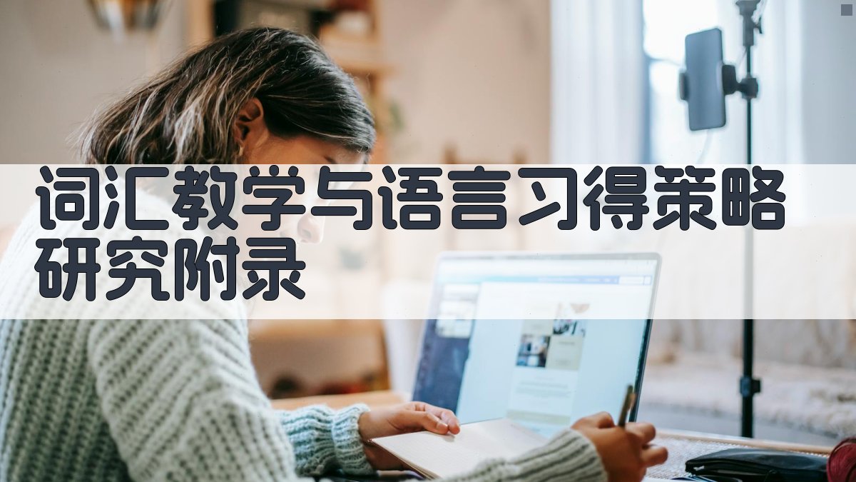 词汇教学与语言习得策略研究 · 附录 图4