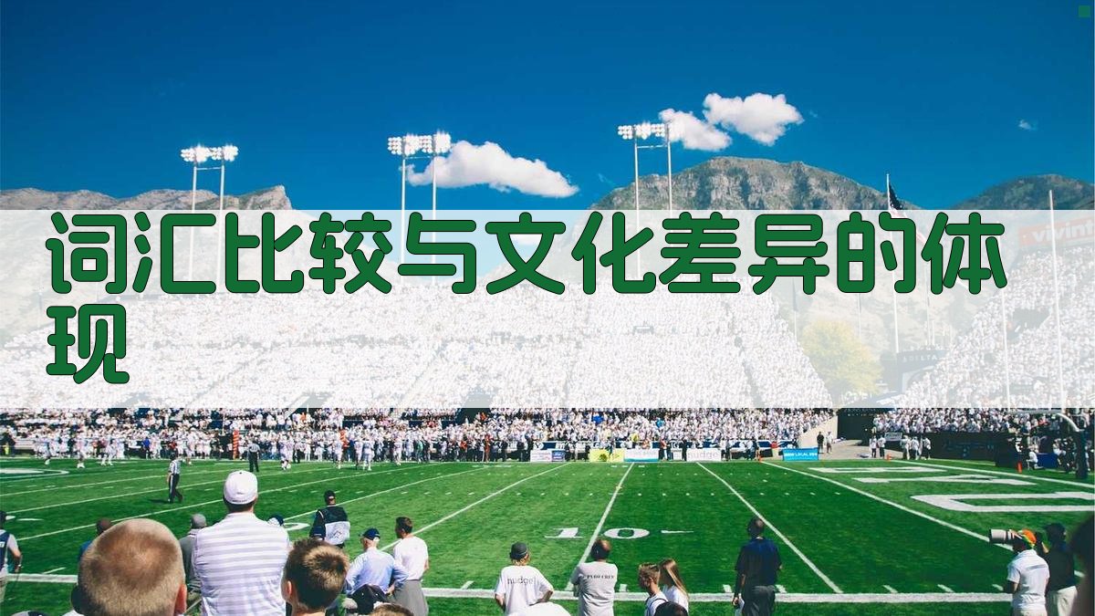 词汇比较与文化差异的体现 图3