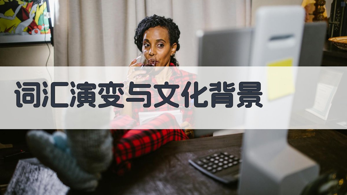 词汇演变与文化背景 图3