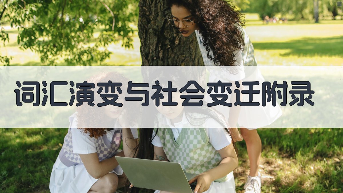 词汇演变与社会变迁 · 附录 图2