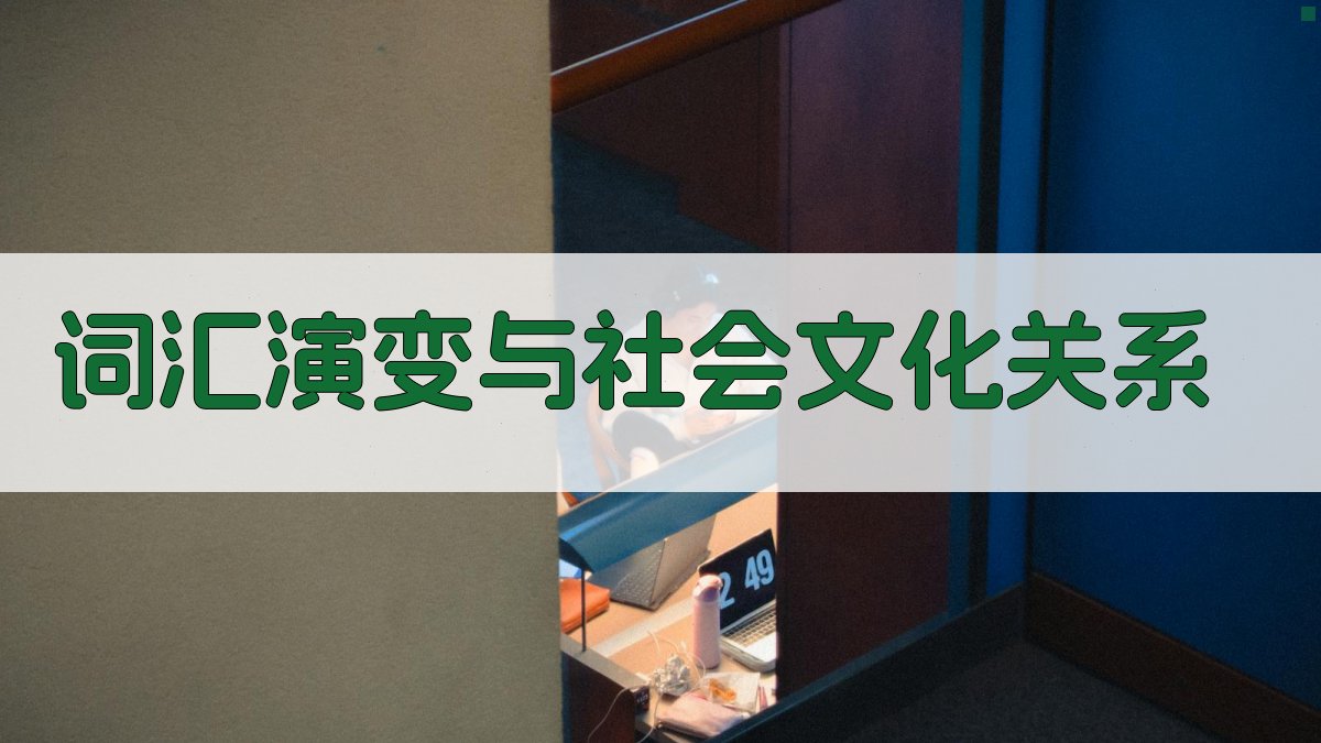 词汇演变与社会文化关系 图2