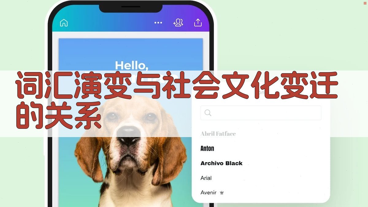 词汇演变与语言接触研究