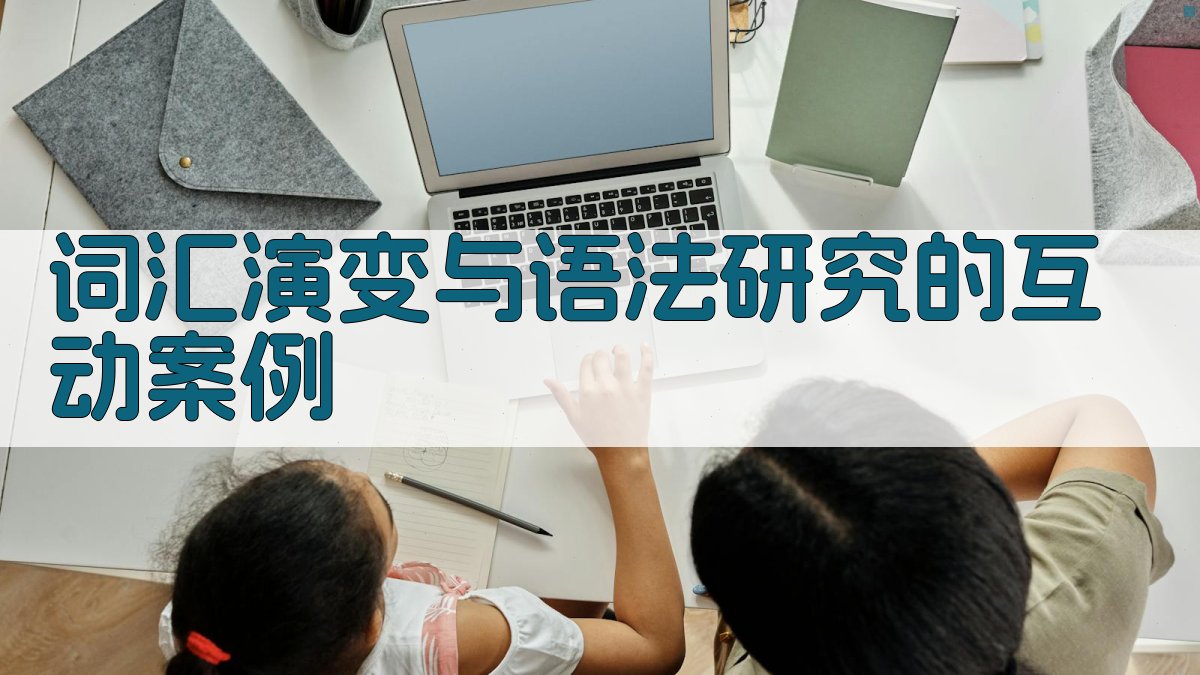 词汇演变与语法研究的互动案例 图3