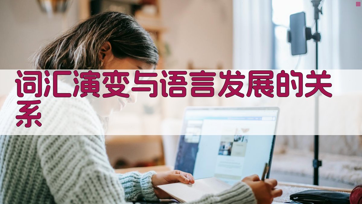 词汇演变与语言发展的关系 图3