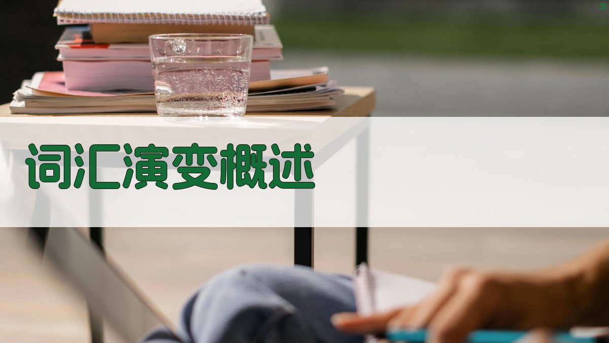 词汇演变与语言接触理论视角下的汉语词汇研究