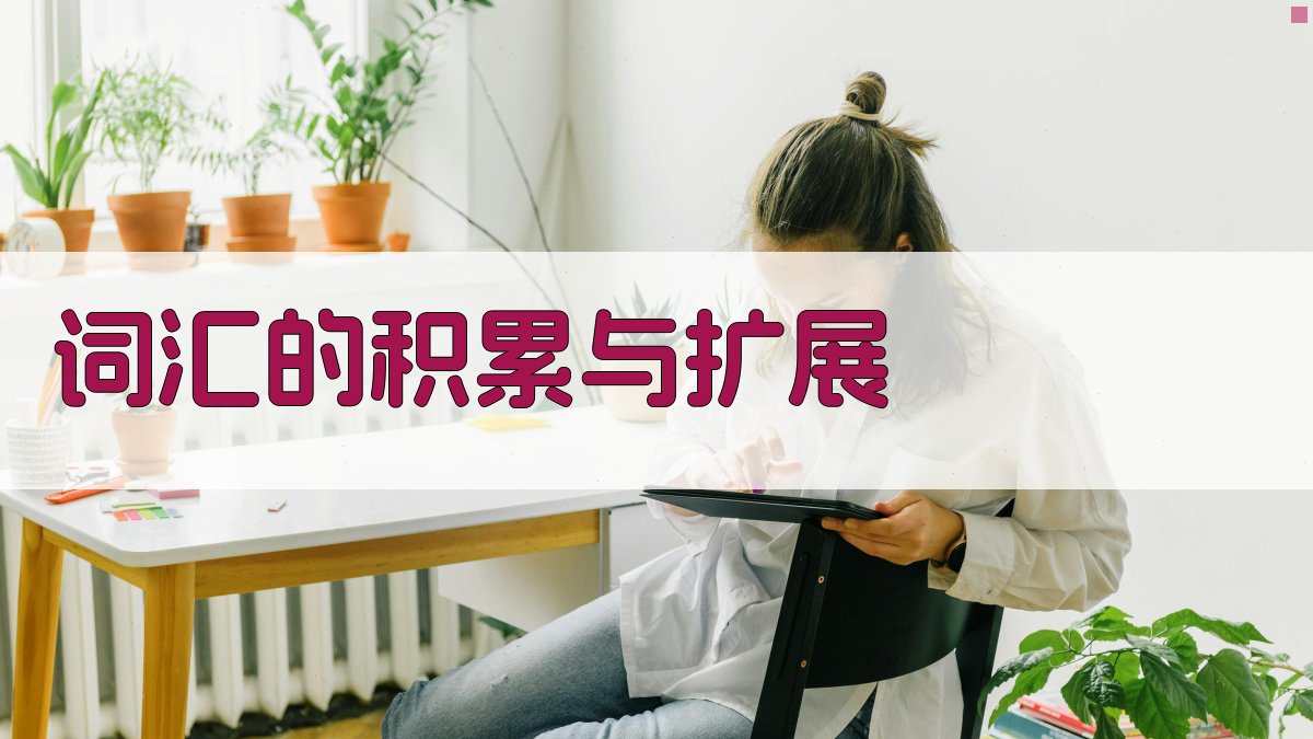 词汇的积累与扩展 图5