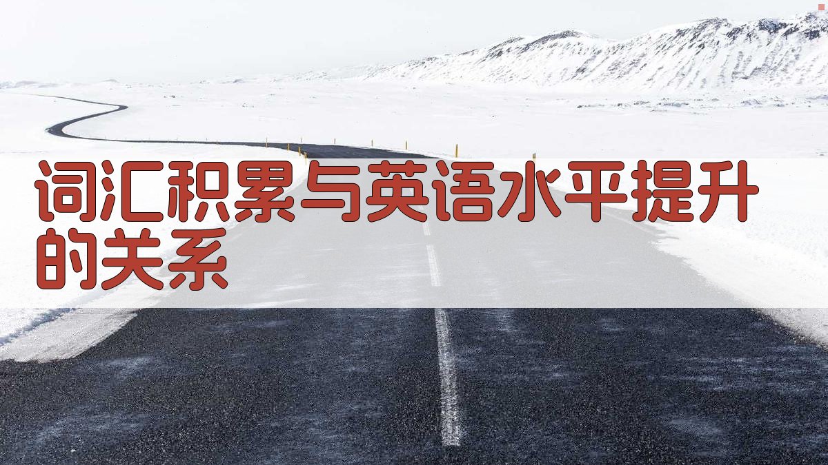 词汇积累与英语水平提升的关系 图4