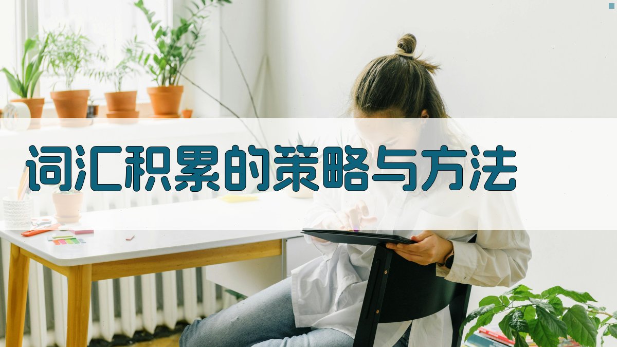 词汇积累的策略与方法 图2