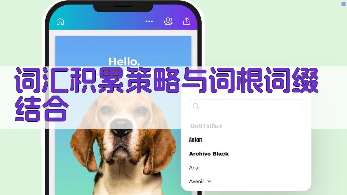 词汇积累策略与词根词缀结合 图4