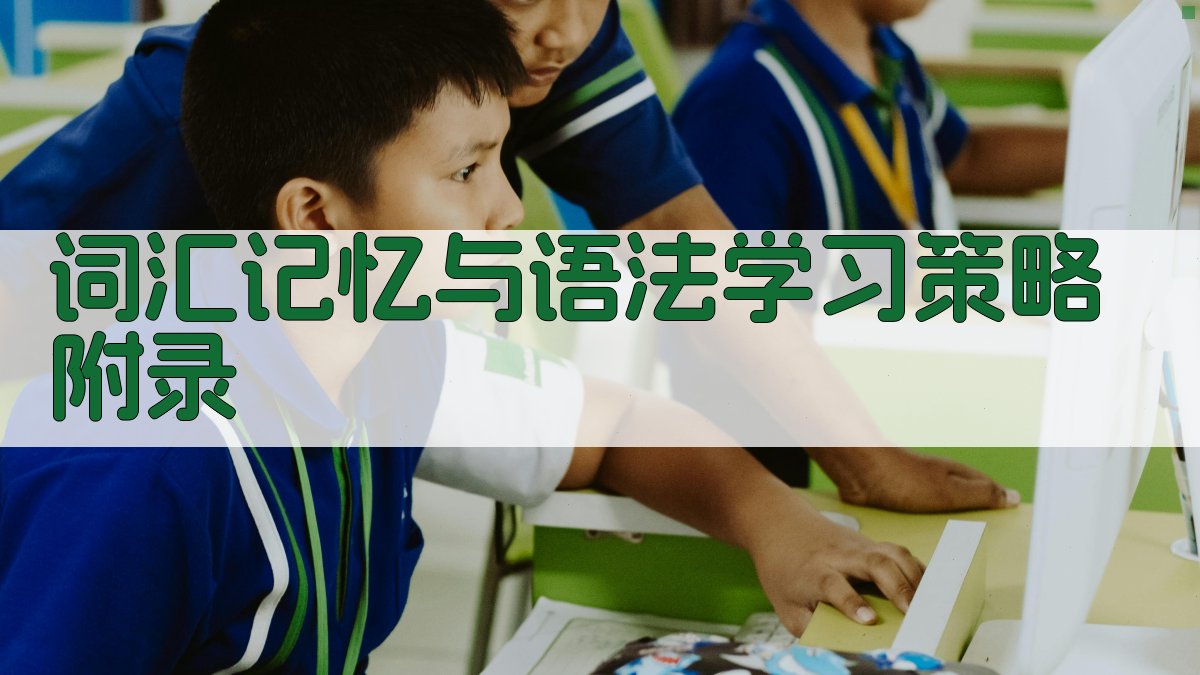 词汇记忆与语法学习策略 · 附录 图2