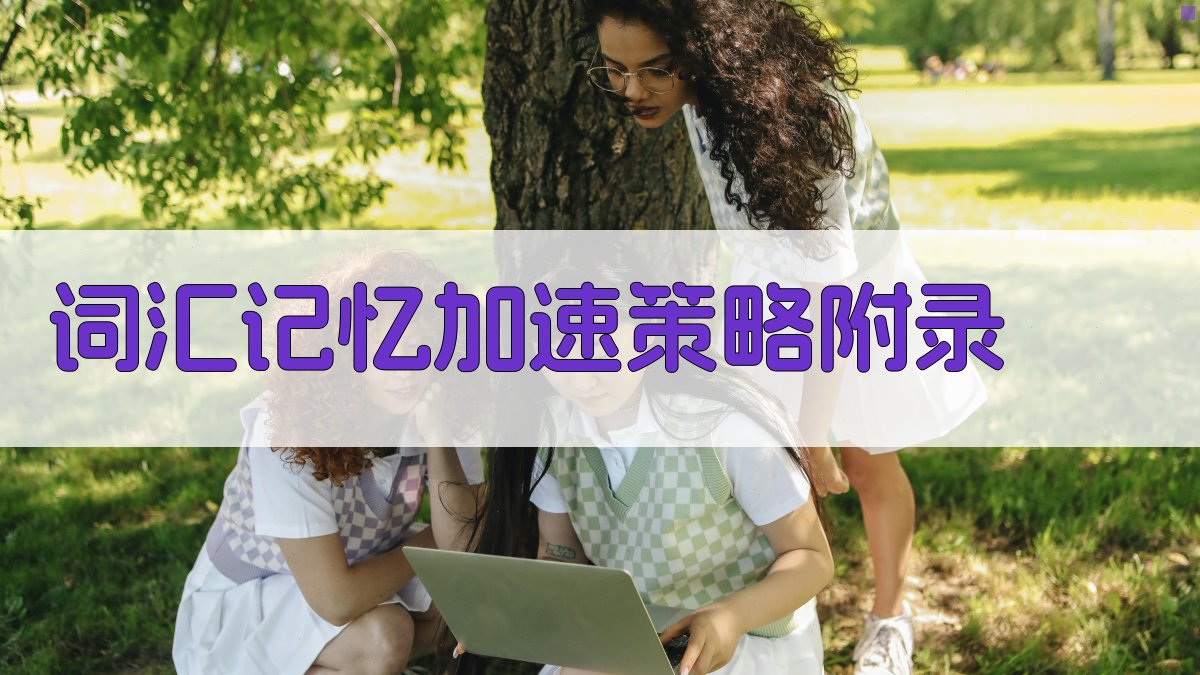 词汇记忆加速策略 · 附录 图5