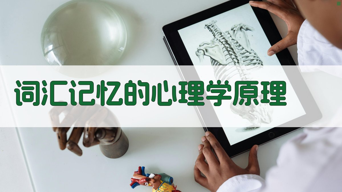 词汇记忆的心理学原理 图3