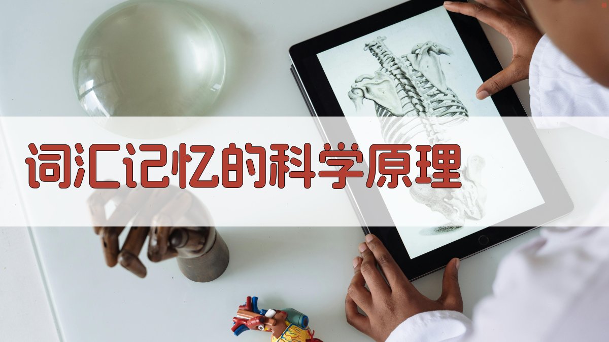 词汇记忆的科学原理 图2