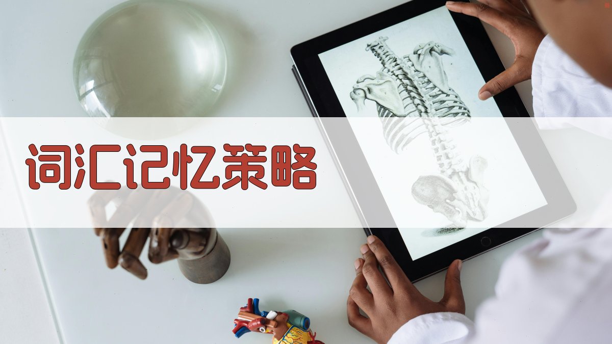 词汇记忆策略 图1