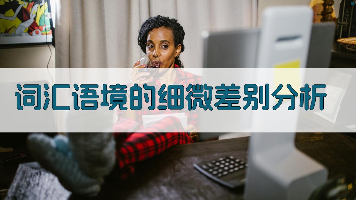 词汇语境的细微差别分析 图4