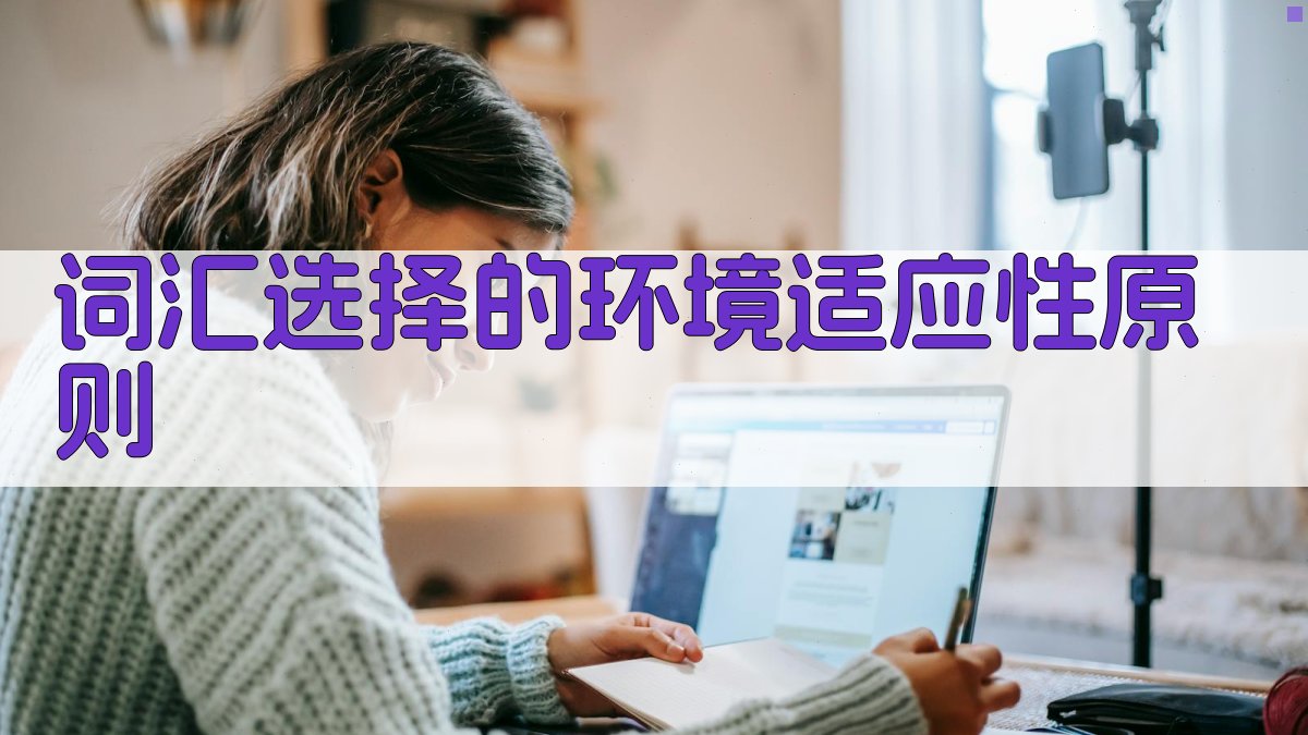 词汇选择的环境适应性原则 图1